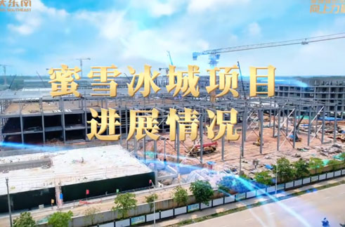 ”龙庆东南在建项目·定安县蜜雪冰城项目，技术筑底，**“